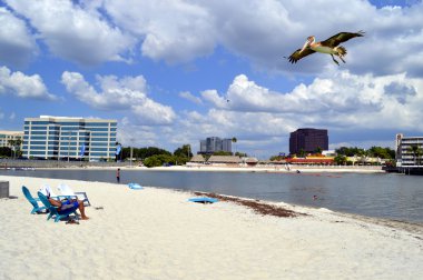 Turistler üzerinde uçan bir Pelikan ile güneşli bir plaj zevk