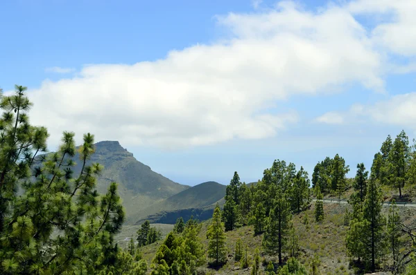 Park Narodowy Mount Teide na Teneryfie — Zdjęcie stockowe