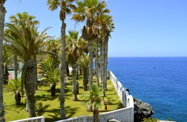 Callao Salvaje sahil Adeje Tenerife