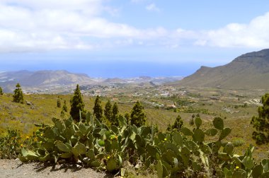Boca Tauce Atlantik kıyılarının Mount Teide Milli Parkı görünümünde