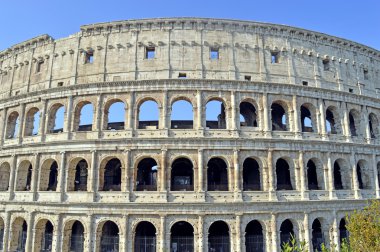 Roma 'daki tarihi Roma kolezyumu amfitiyatrosu.