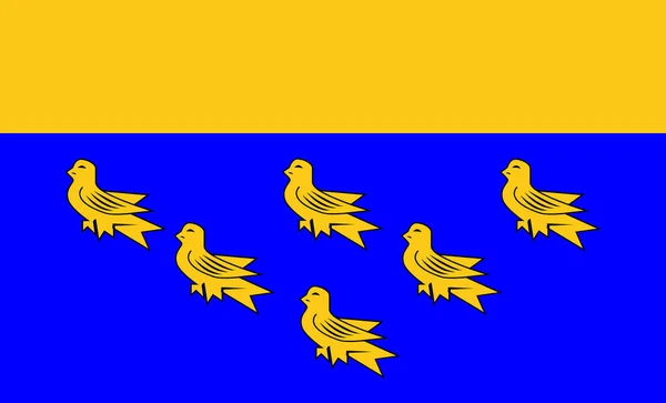在英国代表西苏塞克斯郡议会的西苏塞克斯郡旗 — 图库照片