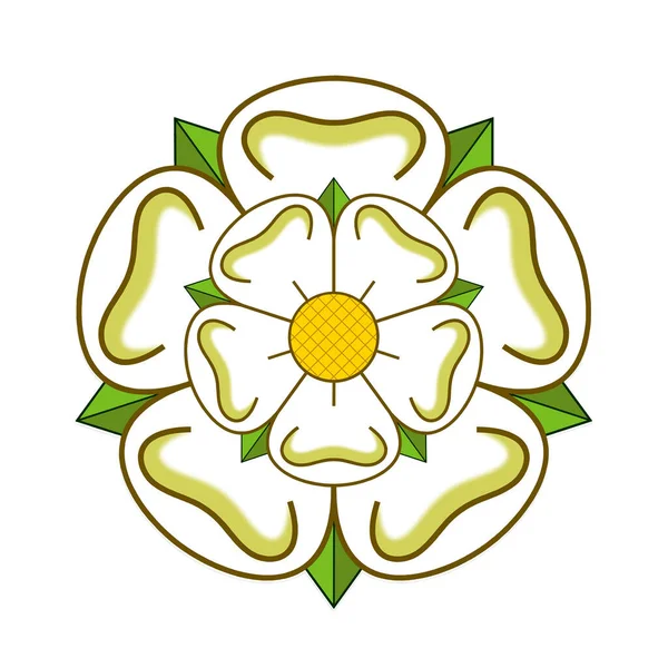 York Fehér Rózsa Szimbolizálja Yorkshire Megyét — Stock Fotó