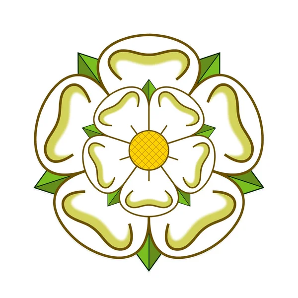 Rosa Blanca York Simboliza Condado Yorkshire Imagen de stock