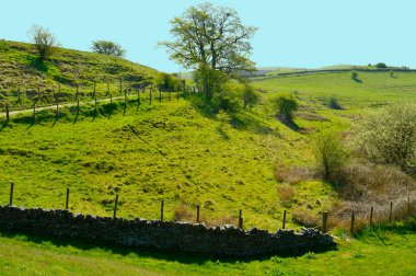 Rochdale Lancashire 'daki Littleborough kırsalında Hollingworth Gölü kır parkından izlendi