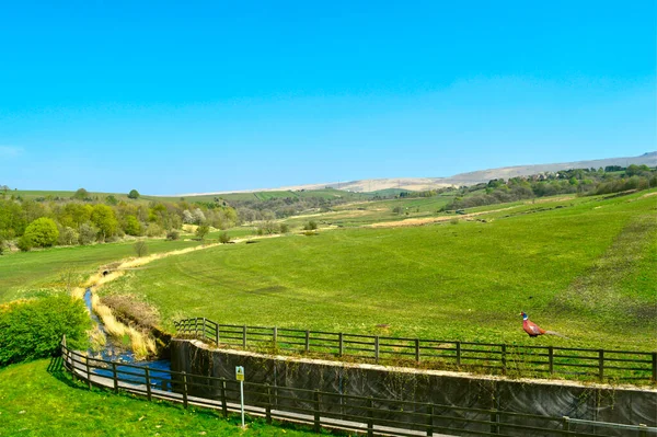 Campagna Littleborough Rochdale Lancashire Vista Dal Parco Campagna Del Lago — Foto Stock