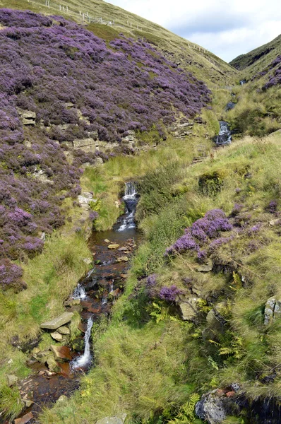 Derbyshire, İngiltere'de İngiltere'de şelale — Stok fotoğraf