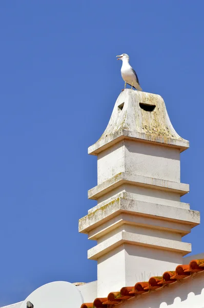 Typical Portuguese chimney pot — Stock Photo, Image