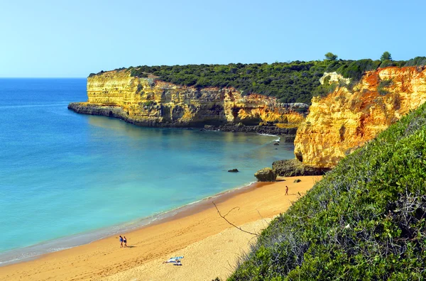 Spectacular cliffs on Senhora Da Rocha Nova Beach in Portugal — Stock Photo, Image