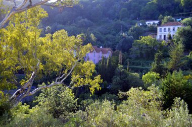 Caldas de Monchique Portekiz
