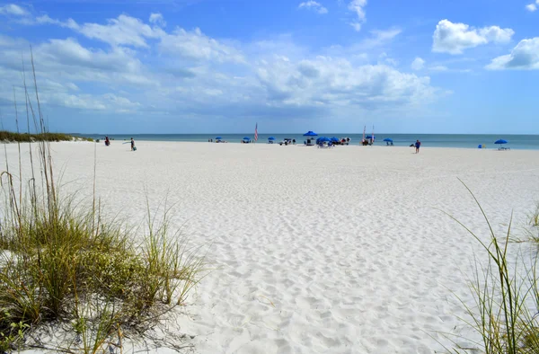 Playa de San Petersburgo Florida —  Fotos de Stock