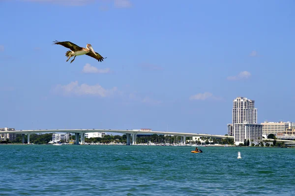 Sand Key in Florida — Stock Photo, Image