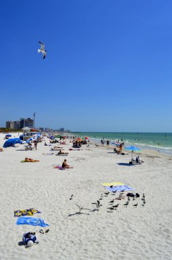 Clearwater Beach, Florida, Amerika Birleşik Devletleri - 12 Mayıs 2015: turist sahilde güneşin tadını