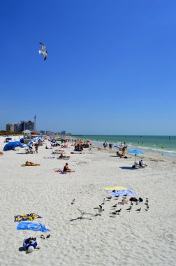 Clearwater Beach, Florida, USA - May 12, 2015: tourists on the beach enjoying the sun clipart