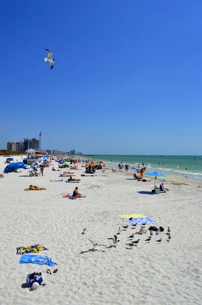 Clearwater Beach, Florida, EUA - 12 de maio de 2015: turistas na praia desfrutando do sol — Fotografia de Stock