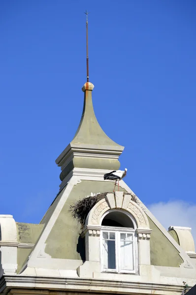 Cigüeña anidando en el techo del arco de salida a través de la pared circundante del casco antiguo de Faro —  Fotos de Stock