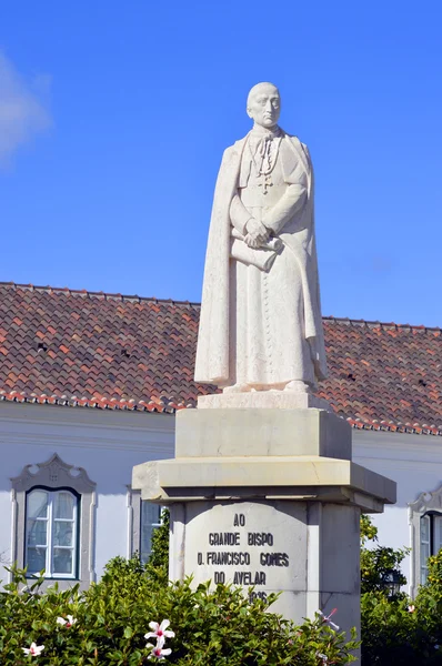 Estatua de Grande Bispo D. Francisco Gomes Do Avelar — Foto de Stock