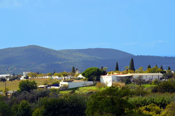 Loule countryside in Portugal — Stock Photo, Image