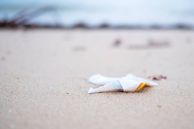 Plajdaki plastik çöpler. Ekoloji, Çevre, Kirlilik ve Ekolojik Sorun Konsepti