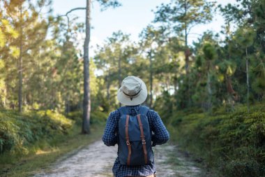 Yaz mevsiminde dağlarda yürüyüş yapan sırt çantalı genç bir adam ormanda tek başına yürüyen bir gezgin. Seyahat, macera ve yolculuk konsepti