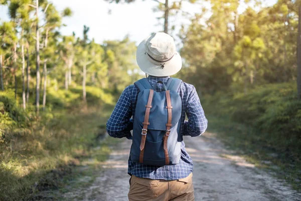 Young man with backpack and hat hiking in mountains during summer season, solo traveler walking in the forest. Travel, adventure and journey concept