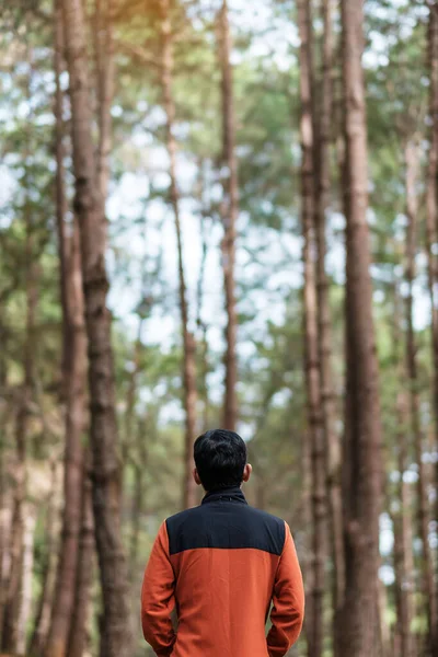Homem Viajante Feliz Olhando Floresta Pinheiros Turista Solo Camisola Laranja — Fotografia de Stock
