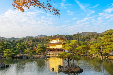 Kinkakuji Tapınağı 'nın güzelliği ya da sonbahar yeşillik mevsiminde altın Pavyon, Kyoto, Kansai, Japonya' daki turistik merkezleri ile ünlü bir kent simgesi.