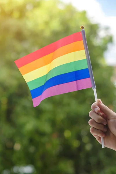 Руки Показывающие Флаг Лгбтк Радуга Зеленом Фоне Природы Поддержка Лесбиянок — стоковое фото