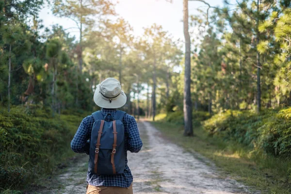 Jovem Com Mochila Chapéu Caminhando Nas Montanhas Durante Temporada Verão — Fotografia de Stock