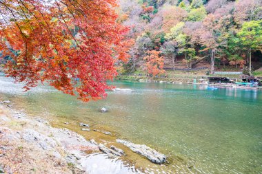 Renkli yapraklar ve Arashiyama 'daki Katsura nehri, manzara simgesi ve Japonya' nın Kyoto kentindeki turistler için popüler. Sonbahar sezonu, tatil, tatil ve gezi konsepti