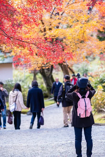 Turista Mujer Tomando Fotos Hojas Coloridas Por Cámara Templo Tenryuji — Foto de Stock