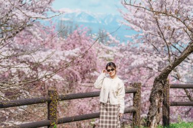 Baharda Sakura Kiraz Çiçeği 'ni gezen bir turist, Japonya' nın Tohoku kentindeki Yamagata bölgesindeki Tendo Park veya Maizuru Park 'ta gezen mutlu bir gezgin. Meşhur Seyahat ve Tatil Tarihi 