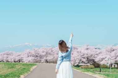 Kitakami Tenshochi Parkı 'nı bahar aylarında Sakura Kiraz Çiçeği ile gezen bir kadın, Kitakami Festivali' nde seyahat eden gezgin, Iwate Bölgesi, Japonya. Seyahat ve Tatil için Dönüm Noktası 