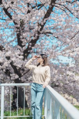 Baharda Morioka Şatosu Harabeleri Parkı 'nda çiçek açan Sakura Kiraz Çiçeği' ni gezen bir turist Iwate Park, Iwate Bölgesi, Japonya 'da mutlu bir gezgin. Ünlü Landmark Seyahat ve Tatil Yeri