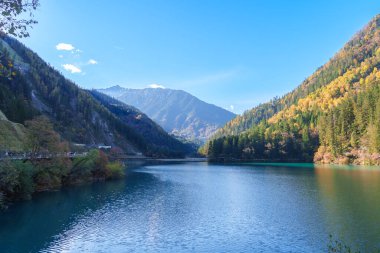 Sahne Jiuzhaigou Ulusal Parkı Sichuan, Çin. Ok Bambu Gölü 'nün ve Sonbahar mevsiminde kar dağının güzelliği. Chengdu, Çin yakınlarındaki ünlü Landmark ve Tatil. Asya seyahat kavramı 