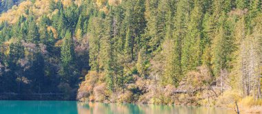 Sahne Jiuzhaigou Ulusal Parkı Sichuan, Çin. Ok Bambu Gölü 'nün ve Sonbahar mevsiminde kar dağının güzelliği. Chengdu, Çin yakınlarındaki ünlü Landmark ve Tatil. Asya seyahat kavramı 