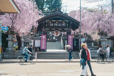 Turistler bahar mevsiminde Sakurayama Tapınağı 'nı sakura kiraz çiçeğiyle geziyorlar. Morioka şehri, Iwate bölgesi, Japonya. Iwate, Japonya, 24 Nisan 2025