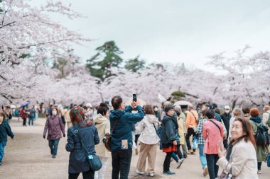 Turistler bahar mevsiminde Sakura Kiraz Çiçeği ile Hirosaki Kalesi 'ni geziyorlar. Hirosaki şehri, Aomori ili, Tohoku, Japonya, 25 Nisan 2025