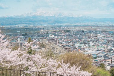 Bahar mevsiminde Sakura Kiraz Çiçeği ve Kar Dağı ile Tendo Şehri, Tendo Parkı veya Maizuru Parkı manzarası. Yamagata Bölgesi, Tohoku, Japonya, 21 Nisan 2025