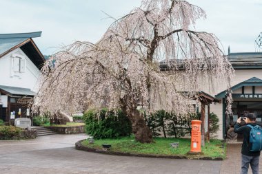 Bahar mevsiminde Kakunodate İstasyonu. Japonya 'nın Akita Eyaleti Semboku kentindeki tren istasyonu, Doğu Japonya Demiryolu Şirketi tarafından işletilmektedir. Semboku Şehri, Akita Bölgesi, 23 Nisan 2025