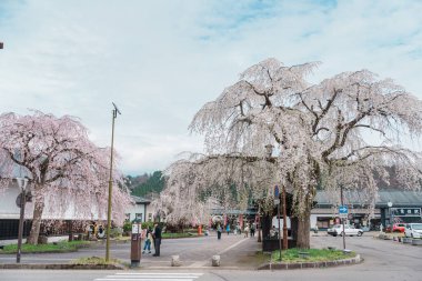 Bahar mevsiminde Kakunodate İstasyonu. Japonya 'nın Akita Eyaleti Semboku kentindeki tren istasyonu, Doğu Japonya Demiryolu Şirketi tarafından işletilmektedir. Semboku Şehri, Akita Bölgesi, 23 Nisan 2025