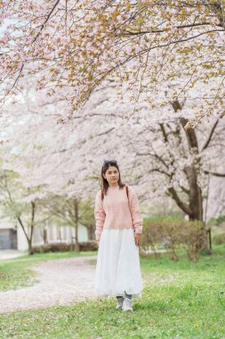 Kajo Park Yamagata Kalesi 'ni gezen turist, ilkbaharda Sakura Kiraz Çiçeği ile birlikte harabeleri gezen mutlu gezgin Yamagata, Tohoku, Japonya' ya seyahat ediyor. Meşhur Seyahat ve Tatil Tarihi