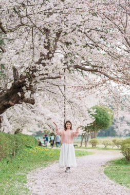 Kajo Park Yamagata Kalesi 'ni gezen turist, ilkbaharda Sakura Kiraz Çiçeği ile birlikte harabeleri gezen mutlu gezgin Yamagata, Tohoku, Japonya' ya seyahat ediyor. Meşhur Seyahat ve Tatil Tarihi