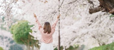 Kajo Park Yamagata Kalesi 'ni gezen turist, ilkbaharda Sakura Kiraz Çiçeği ile birlikte harabeleri gezen mutlu gezgin Yamagata, Tohoku, Japonya' ya seyahat ediyor. Meşhur Seyahat ve Tatil Tarihi