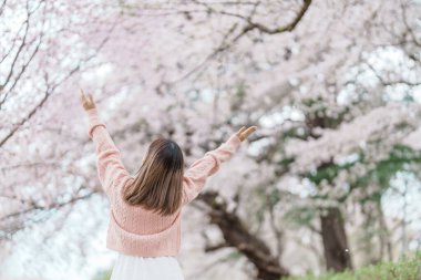 Kajo Park Yamagata Kalesi 'ni gezen turist, ilkbaharda Sakura Kiraz Çiçeği ile birlikte harabeleri gezen mutlu gezgin Yamagata, Tohoku, Japonya' ya seyahat ediyor. Meşhur Seyahat ve Tatil Tarihi