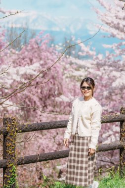 Baharda Sakura Kiraz Çiçeği 'ni gezen bir turist, Japonya' nın Tohoku kentindeki Yamagata bölgesindeki Tendo Park veya Maizuru Park 'ta gezen mutlu bir gezgin. Meşhur Seyahat ve Tatil Tarihi