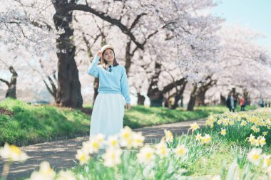 Kitakami Tenshochi Parkı 'nı bahar aylarında Sakura Kiraz Çiçeği ile gezen bir kadın, Kitakami Festivali' nde seyahat eden gezgin, Iwate Bölgesi, Japonya. Seyahat ve Tatil için Dönüm Noktası
