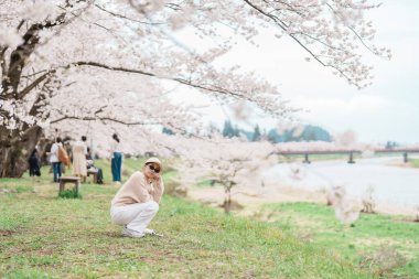 Baharda Sakura Kiraz Çiçeği 'ni gezen bir turist. Mutlu gezginler Japonya 'nın Akita ilinin Semboku ilçesindeki Kakunodate kasabasındaki Hinokinai Nehri nehir kıyısı yakınlarında seyahat ederler. Tarihi Eserler ve Tatil