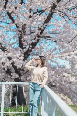 Baharda Morioka Şatosu Harabeleri Parkı 'nda çiçek açan Sakura Kiraz Çiçeği' ni gezen bir turist Iwate Park, Iwate Bölgesi, Japonya 'da mutlu bir gezgin. Ünlü Landmark Seyahat ve Tatil Yeri