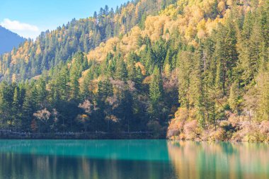 Sahne Jiuzhaigou Ulusal Parkı Sichuan, Çin. Ok Bambu Gölü 'nün ve Sonbahar mevsiminde kar dağının güzelliği. Chengdu, Çin yakınlarındaki ünlü Landmark ve Tatil. Asya seyahat kavramı